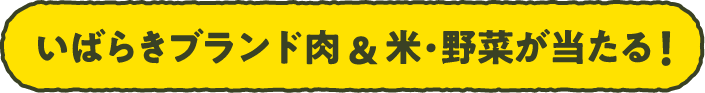 いばらきブランド肉＆米・野菜が当たる！